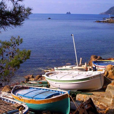 ホテルCamping Orly D'Azur シス・フール・レ・プラージュ エクステリア 写真